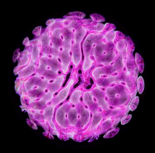 Как выглядит звук. 03