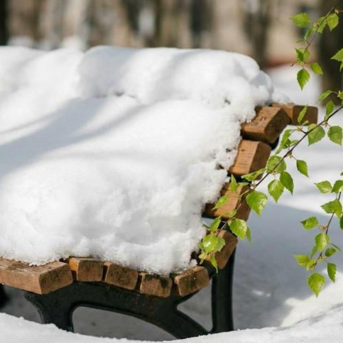 Толщина покрова уже достигла 70 сантиметров и превысила рекорд 1966 года. 01