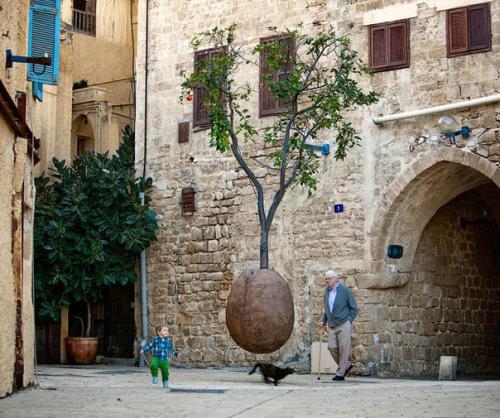 Тель-авив.  В переводе с иврита название второго по величине после Иерусалима города израиля - Тель-авива переводится как Холм Весны. 03