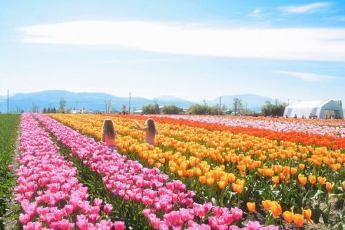 10 современных книг, с которыми забудешь про сон!