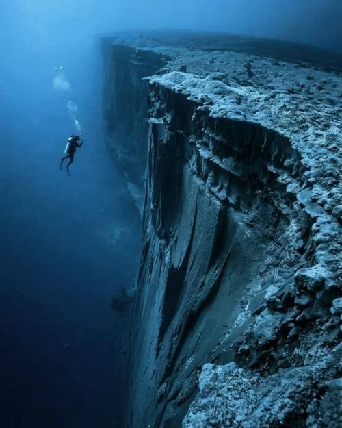 Океанские глубины: наука, а не фантастика.

