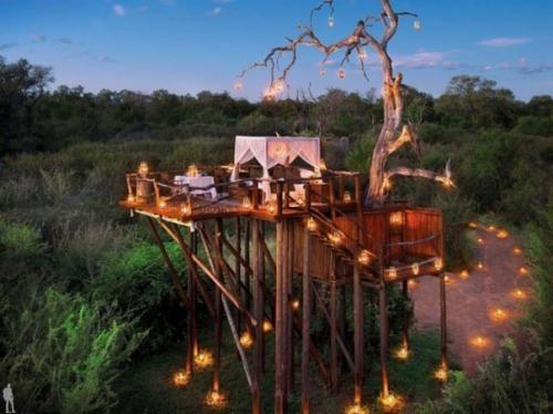 Отель Lion Sands, южная Африка.