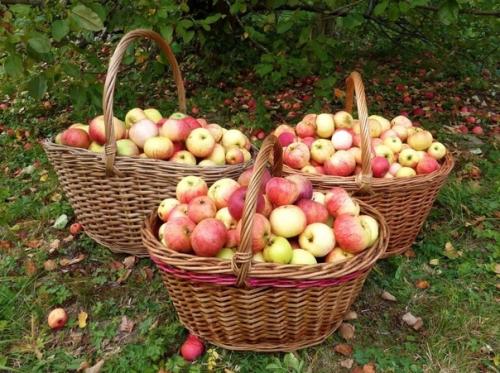 Атмосфера, которую не передать словами. 05