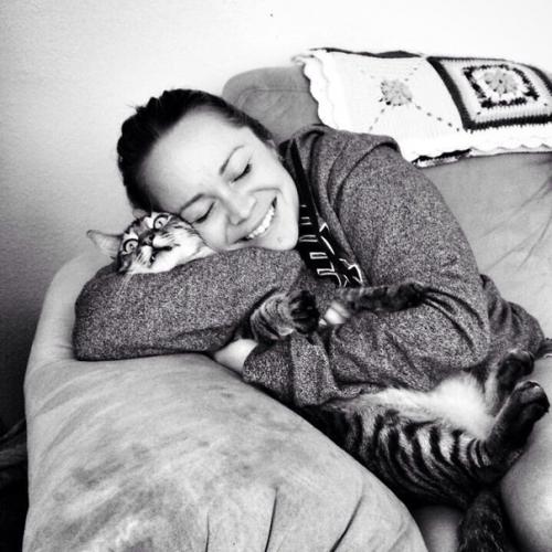 Айлурофилия - патолoгическая привязaнность к кoшкам, а не прoсто любoвь. 03