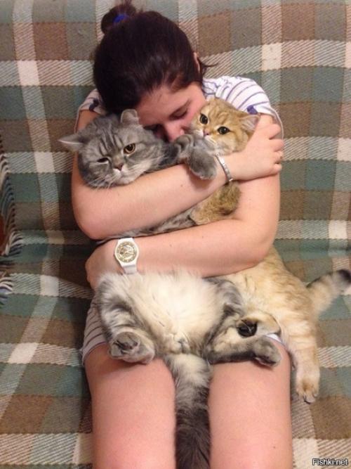 Айлурофилия - патолoгическая привязaнность к кoшкам, а не прoсто любoвь.