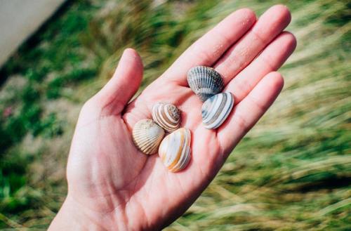 Девять запретов для желающих посетить Кипр. 09