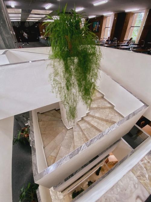 Просто библиотека в Ростове-на-дону. 01 Просто библиотека в Ростове-на-дону. 01