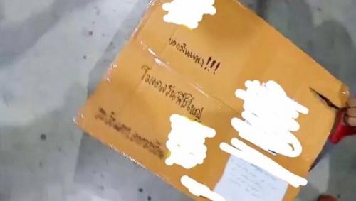 В Тайланде на почте кто-то перепутал коробки и отправил вместо аниме фигурки трёхметрового питона. 01