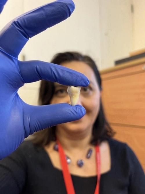 Учёные из великобритании важный шаг в стоматологии сделали. 02