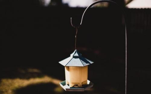 Философия, меняющая жизнь!