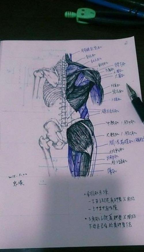 В Китае новый способ преподавания анатомии. 09