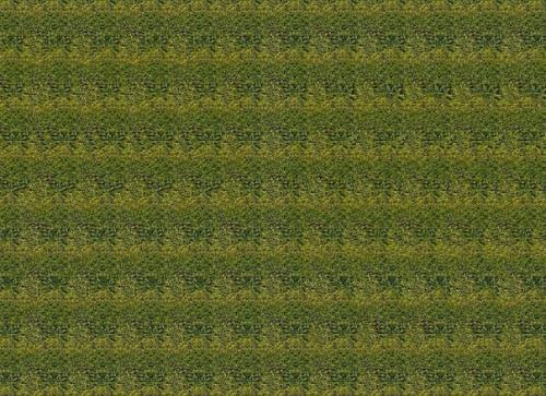 Разглядывание стереокартинок требует нестандартного и долгого удержания фокуса внимания, это тренирует мозговую активность и навык сосредоточения.