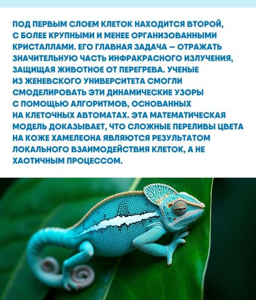 Способность природы создавать сложные системы на микроуровне часто превосходит наши технологические возможности. 02