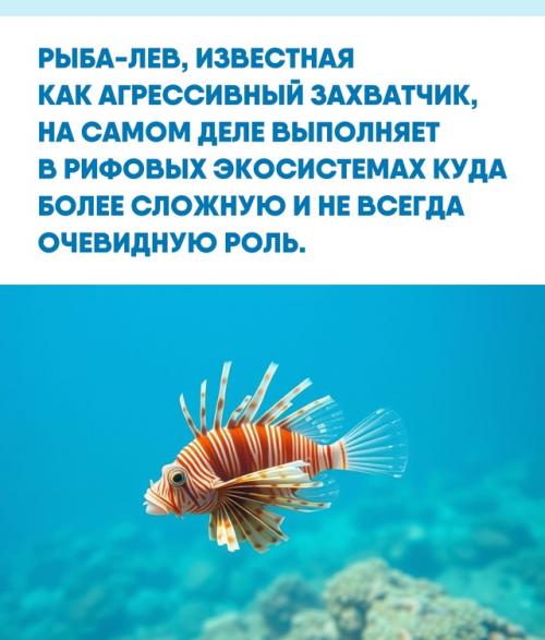Экзотическая внешность рыбы - Льва скрывает сложную экологическую историю, полную парадоксов.