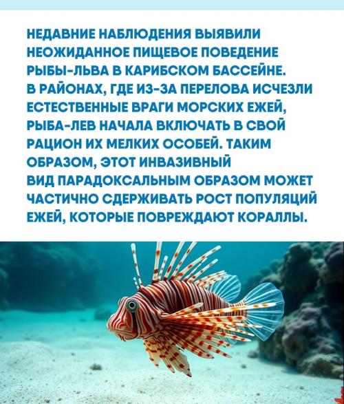 Экзотическая внешность рыбы - Льва скрывает сложную экологическую историю, полную парадоксов. 02