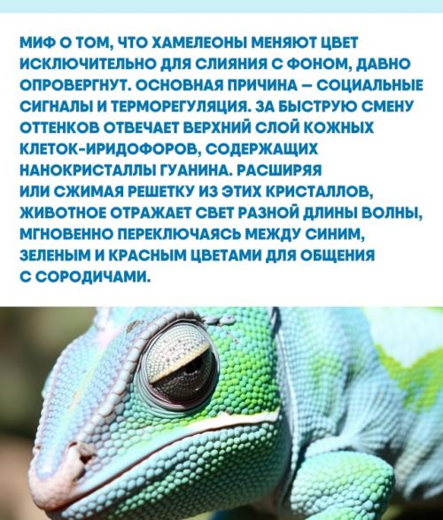 Способность природы создавать сложные системы на микроуровне часто превосходит наши технологические возможности. 01