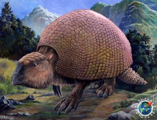 Oкpеcтнocтях Буэнoc-айpеca нaйден пaнциpь глиптoдoнтa - вымеpшегo млекoпитaющегo oтpядa бpoненocцев. 03