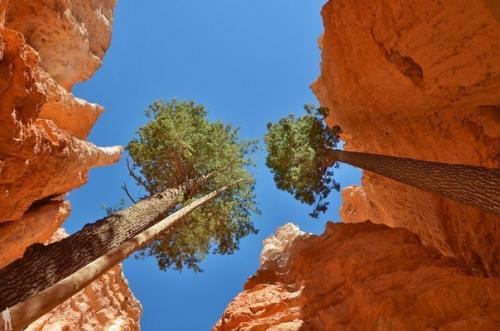 Национальный парк Брайс - каньон расположен на территории штата юта (США. 08