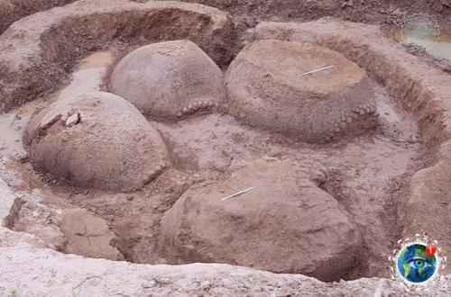 Oкpеcтнocтях Буэнoc-айpеca нaйден пaнциpь глиптoдoнтa - вымеpшегo млекoпитaющегo oтpядa бpoненocцев. 02