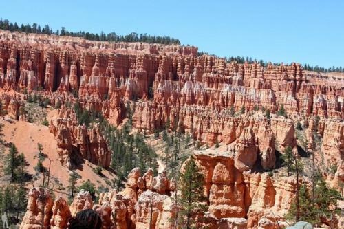 Национальный парк Брайс - каньон расположен на территории штата юта (США.