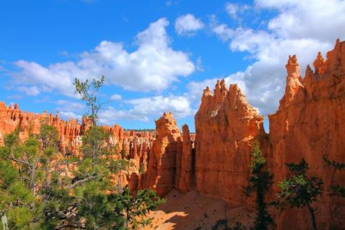 Национальный парк Брайс - каньон расположен на территории штата юта (США. 04