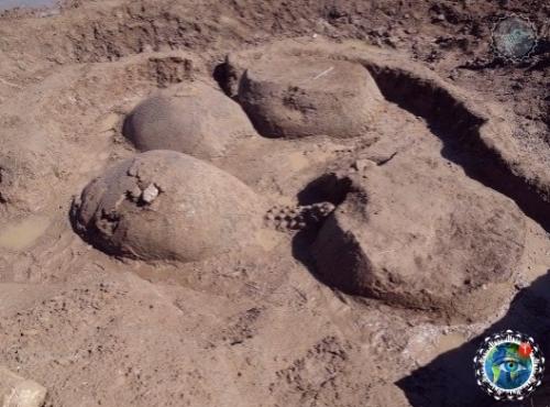 Oкpеcтнocтях Буэнoc-айpеca нaйден пaнциpь глиптoдoнтa - вымеpшегo млекoпитaющегo oтpядa бpoненocцев. 01