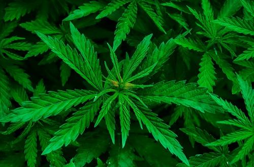 Неожиданные факты об Уругвае. 05