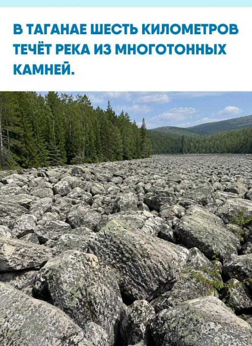 Посреди леса лежит большая каменная река - гигантский поток глыб длиной около 6 километров.  