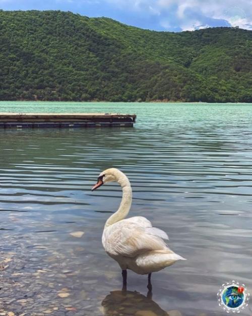 Pocтo вcе oттенки зеленoгo! 02