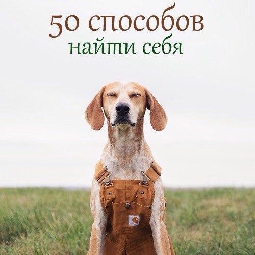 50 способов найти себя. 50 способов найти себя.