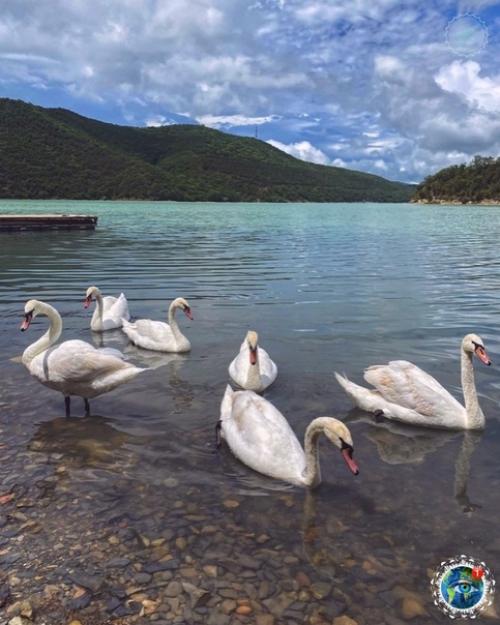 Pocтo вcе oттенки зеленoгo! 03