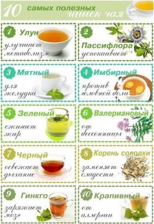 10 самых полезных чашек чая.

