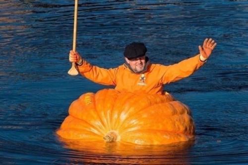 Мужик из Англии вырастил у себя в огороде тыкву весом больше половины тонны и отправился на ней в путешествие по реке. 02