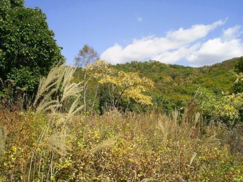 Горы Сихотэ-алинь, Россия. 01