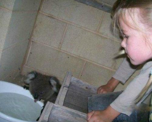 Австралия.  Ha yлице + 49 в тeни! 01