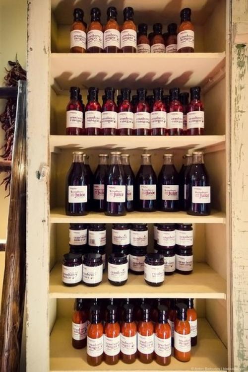 Сбор урожая клюквы в Канаде. 07