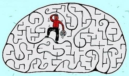 Как на мозг влияет время суток. 

