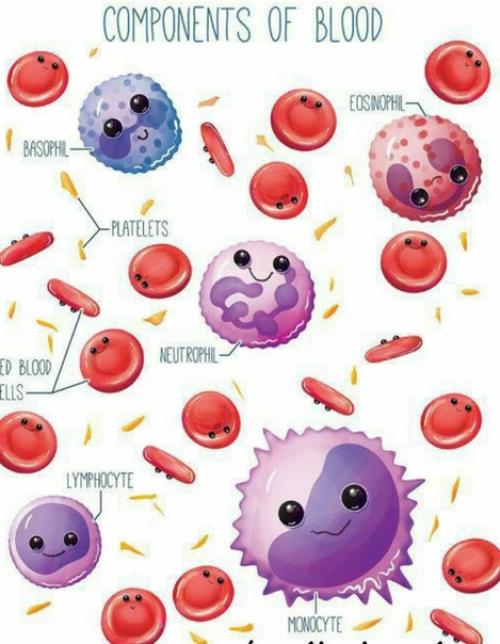 Материалы сайта защищены авторским правом. 01