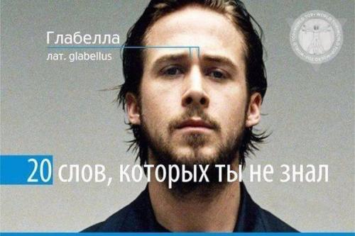 20 слов, которых ты, возможно, не знал. 

