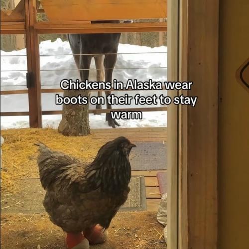 Да, это не шутка. 

