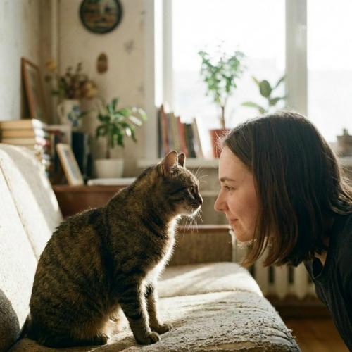 В эксперименте выяснилось, что на мужчин кошки мяукают в 2, 5 раза чаще, чем на женщин. 01