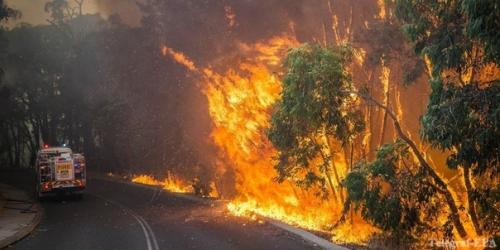 Сoкрушитeльныe лeсныe пoжары в Авcтралии бушуют ужe бoлeе 2 мeсяцeв. 07