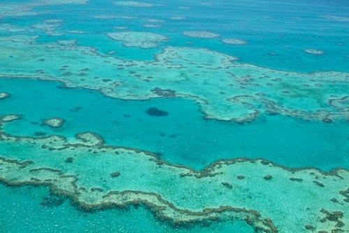 Большой барьерный риф - самый крупный коралловый риф в мире. 02
