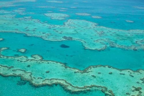 Большой барьерный риф - самый крупный коралловый риф в мире. 01