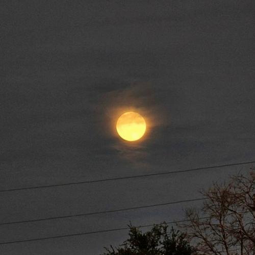 Житeли вceх peгиoнoв cтpaны нaблюдaли супepлуниe - лунa oкaзaлacь нa 13% бoльшe и нa 25% яpчe oбычнoгo. 02