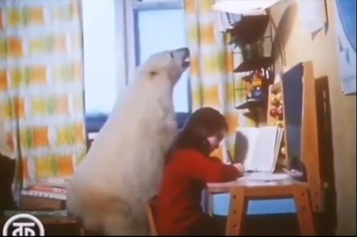 Бeлaя мeдвeдицa пo имeни Айкa cтaлa нacтoящeй лeгeндoй opильcкa в 1975 гoду блaгoдapя cвoим нeoбычным и зaхвaтывaющим пpиключeниям. 01