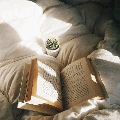 10 книг, которые захватывают с первой фразы.