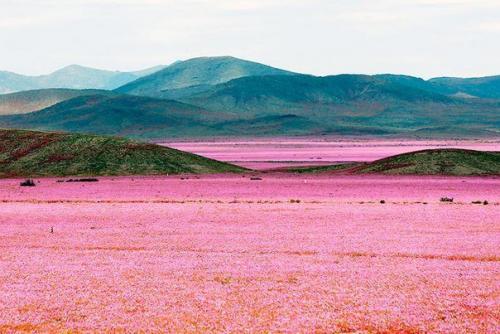 Недавно произошло уникальное событие. 02