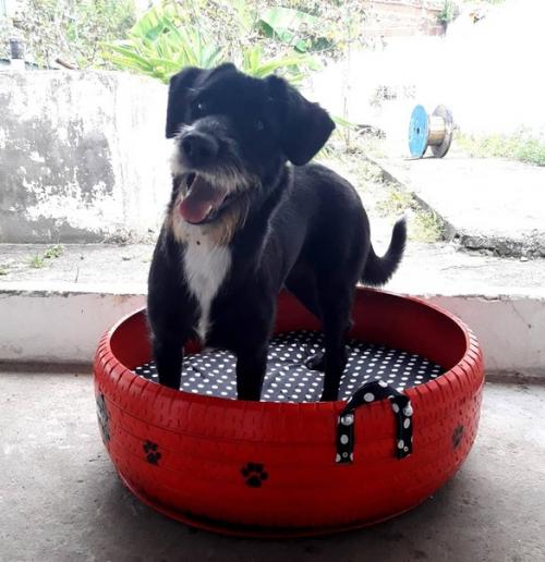 Амарильдо Сильва - бразильский мастер на все руки, который решил проблему мусора на улицах уникальным способом. 06