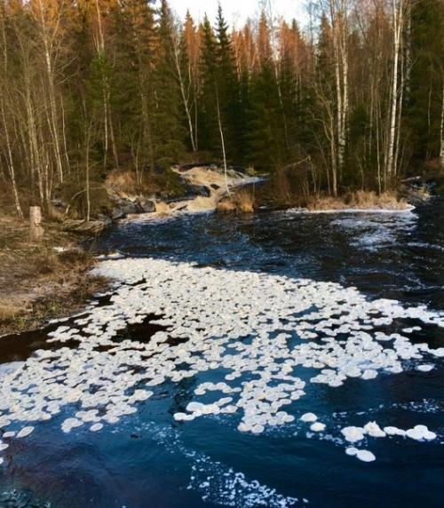В горном парке рускеала (Карелия) лед в виде блинчиков. 01